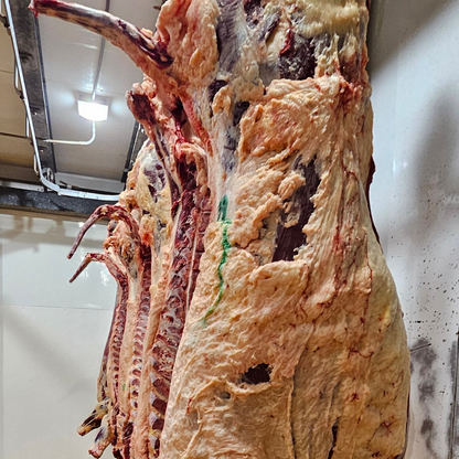 Half Beef (400-450lbs Hanging Weight) - PREMIUM Cattle