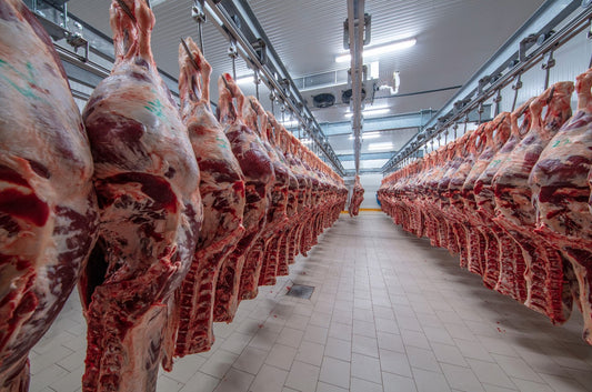 Process - Processing